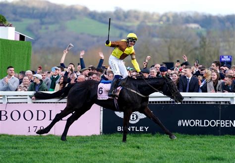 cheltenham horse racing tips|Cheltenham Festival tips: Experts on best bets and 15 horses to .